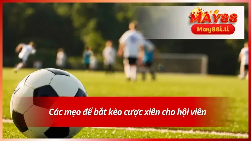 Mẹo Cược Xiên - Chiến Thuật Tối Ưu Lợi Nhuận Khi Đặt Cược 3 Mẹo cược xiên hiệu quả giúp tăng cơ hội thắng cho hội viên