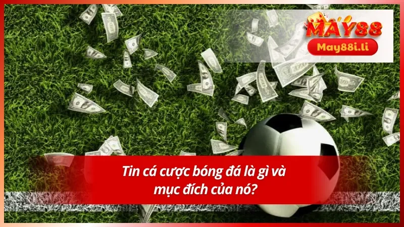 Tin Cá Cược Bóng Đá - Cùng May88 Tổng Hợp Sự Kiện Nổi Bật 2 Nắm rõ tin cá cược bóng đá mang đến những ý nghĩa gì?