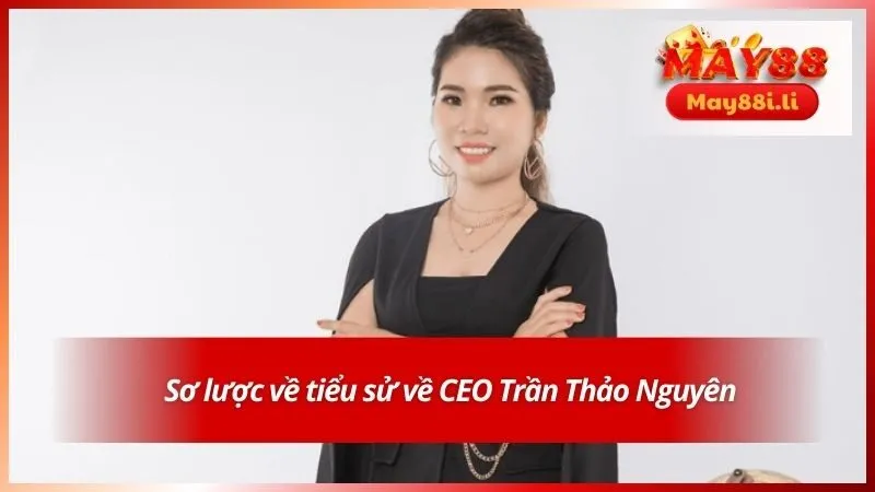Trần Thảo Nguyên 1 Sơ lược về tiểu sử về CEO Trần Thảo Nguyên